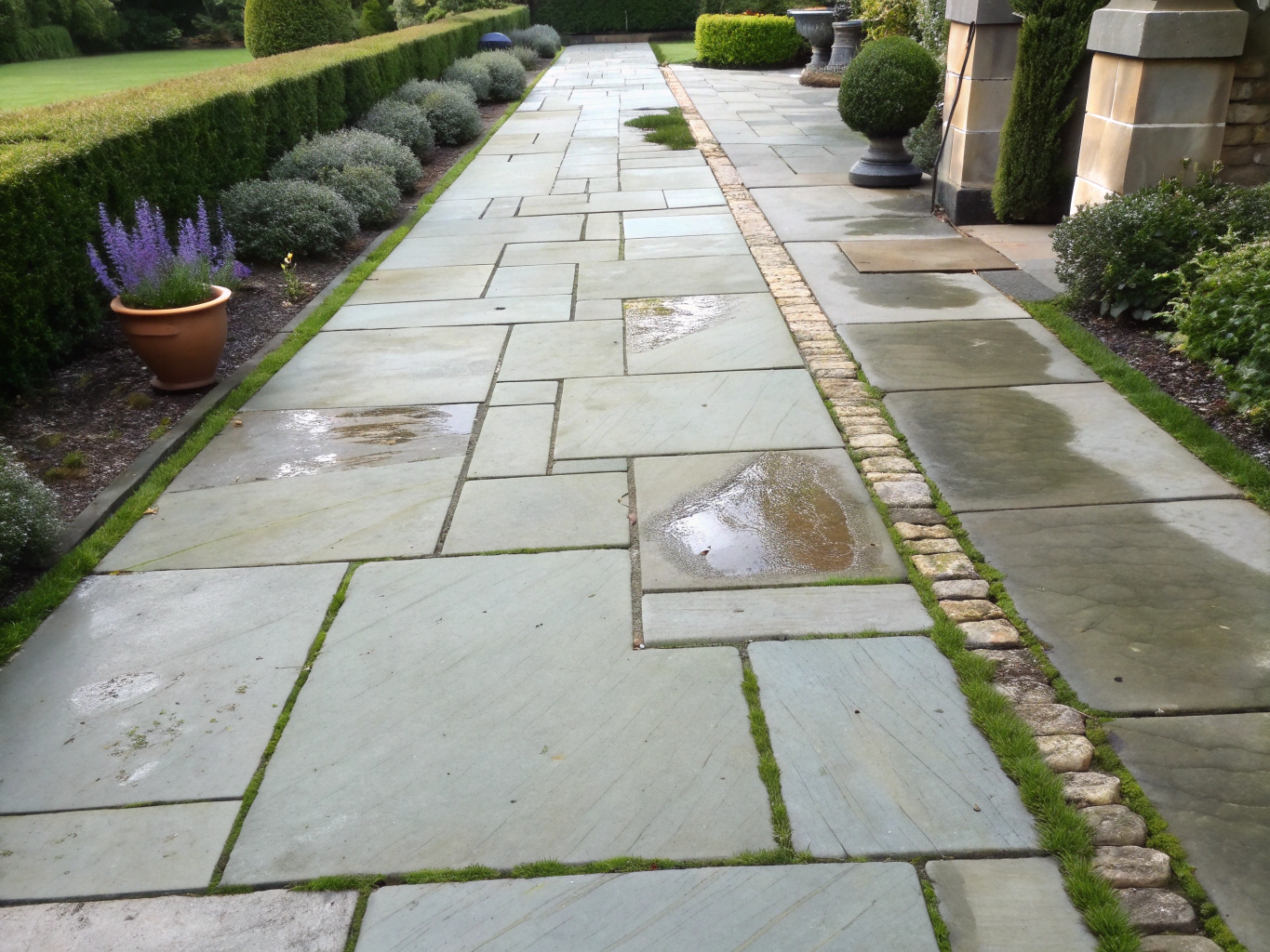 Clean front entrance sidewalk and garden walkway